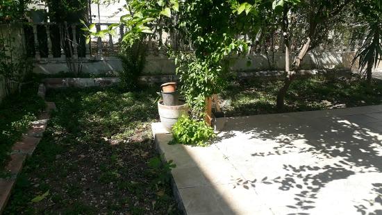 4+1 Triplex-Villa Mit Garten In Didim Halley