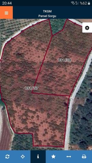 Mandarin Orchard For Sale In Selcuk, Izmir