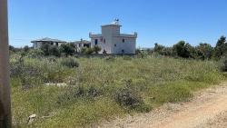 Land For Sale in Ak-Yeniköy Nbh. Didim Akyeniköy - Housing Zoned - 700 m²