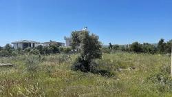Для Продажи Сюжет в Ak-Yeniköy Didim Akyeniköy - Под Жилье застройку - 700 m²