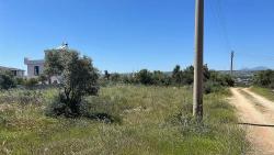 Didim Akyeniköy Ak-Yeniköy Mah. Satılık Arsa - Konut İmar Durumlu - 700 m²